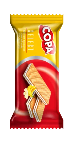 Multi Cereals Biscuit